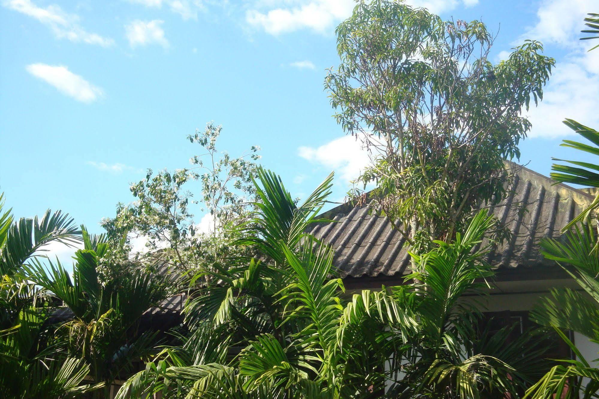 Ming Guesthouse Pai Exterior foto
